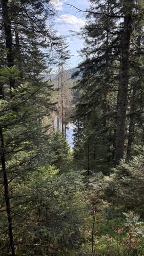 Von Ruhestein zum Wildsee