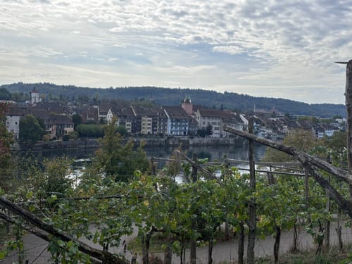 Rheinuferweg: Rheinfelden - Wasserkraftwerk