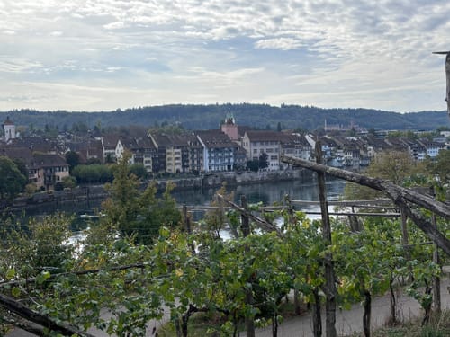 Rheinuferweg: Rheinfelden - Wasserkraftwerk