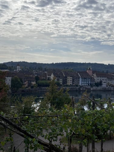 Rheinuferweg: Rheinfelden - Wasserkraftwerk