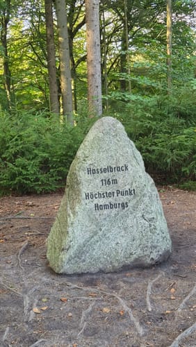 Auf den Hasselbrack