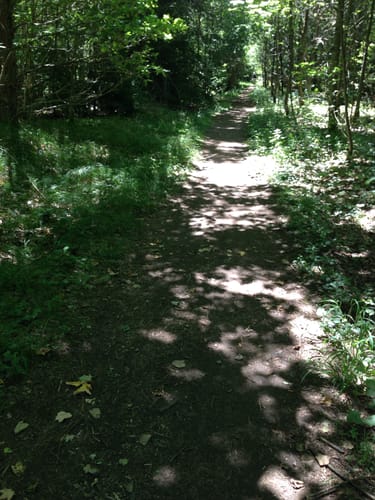 Perlacher Forst