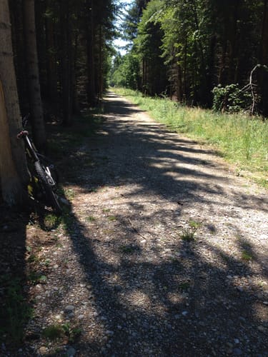 Perlacher Forst