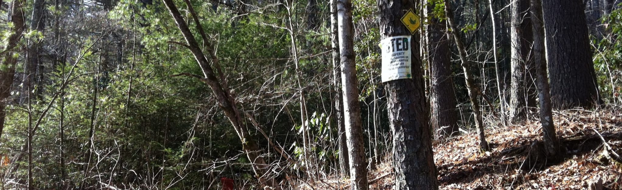 Green River Preserve 11 Reviews, Map North Carolina AllTrails