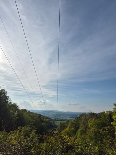 Waldrunde bei Rohrbach