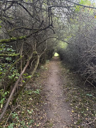SchächerbachTour (Premiumwanderweg)