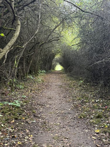 SchächerbachTour (Premiumwanderweg)