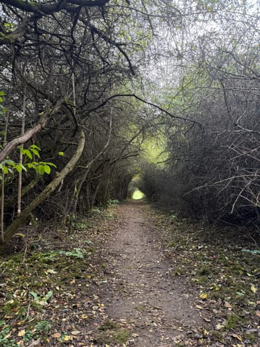 SchächerbachTour (Premiumwanderweg)