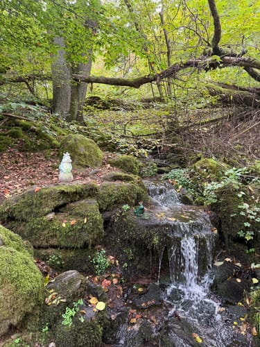 SchächerbachTour (Premiumwanderweg)