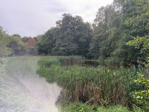 SchächerbachTour (Premiumwanderweg)
