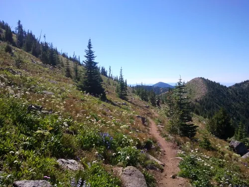 2023 Best 10 Trails and Hikes in Rossland | AllTrails