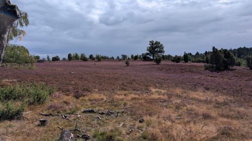 Undeloh Rundweg