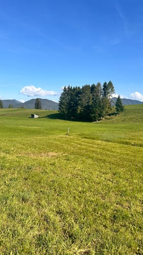 Walchensee - Einsiedl - Zwergern