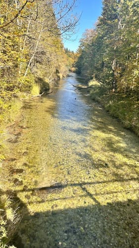 Walchensee - Einsiedl - Zwergern