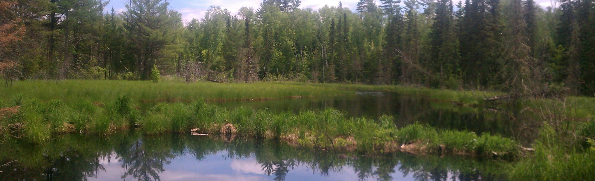 Blackstone Lake Loop, Minnesota 42 Reviews, Map AllTrails