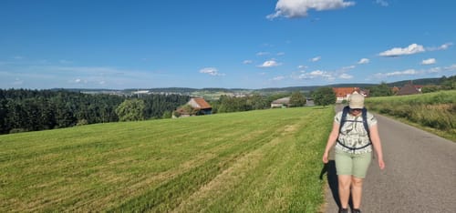 Wasser-, Wald- und Wiesenpfad (Premiumwanderweg)