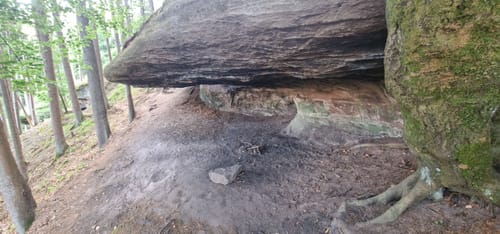 Wasser-, Wald- und Wiesenpfad (Premiumwanderweg)