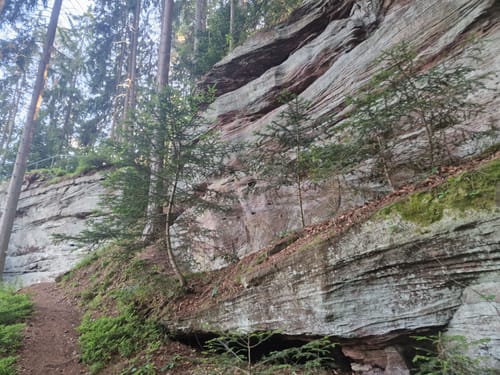 Wasser-, Wald- und Wiesenpfad (Premiumwanderweg)