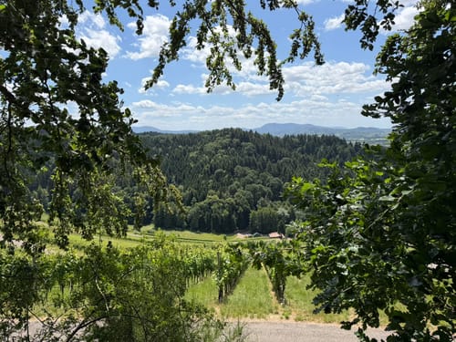 Ulmer Panoramaweg