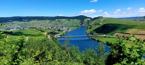 Rund um Zimmet - Moselwanderung in Piesport