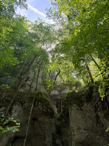 Beuron Trail (Premiumwanderweg)