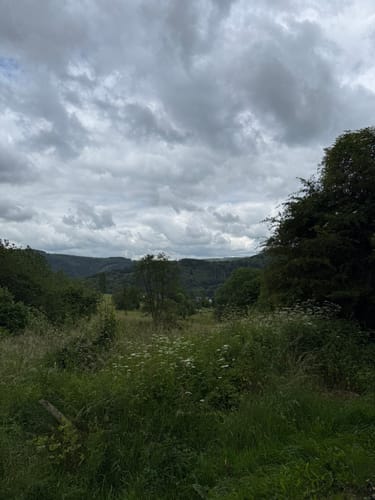 Zuschauerwanderung