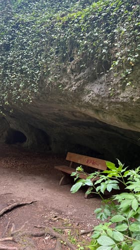 Rundwanderung Tüchersfeld - Zauppenberg
