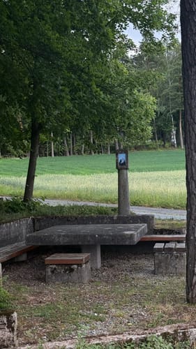 Rundwanderung Tüchersfeld - Zauppenberg