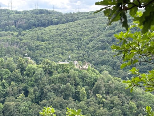 Vom Veldenzer Bach zum Dachslayer Felsen