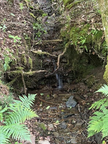 Niederfischbach Rundweg N6