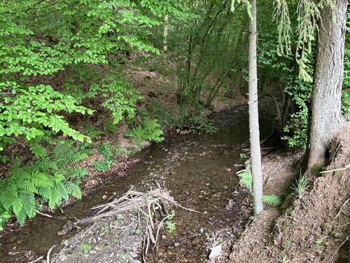 Niederfischbach Rundweg N6