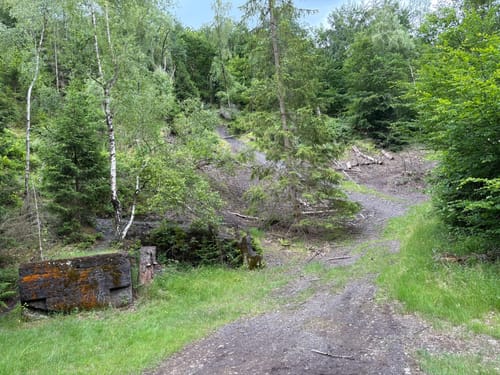 Niederfischbach Rundweg N6