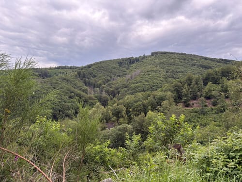 Niederfischbach Rundweg N6