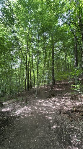 Netzbachweiher Rundweg