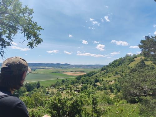 Hirschauer Spitzbergwegle (Premiumspazierwanderweg)
