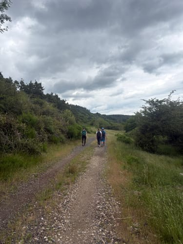 Mayschoss - Altenburg - Brück