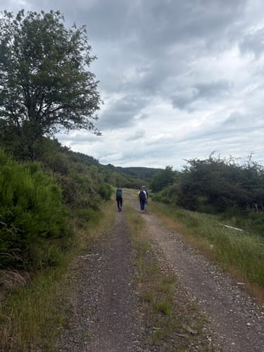 Mayschoss - Altenburg - Brück