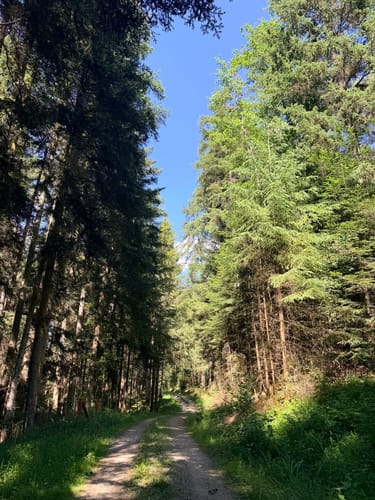 Mittelsbach-Runde