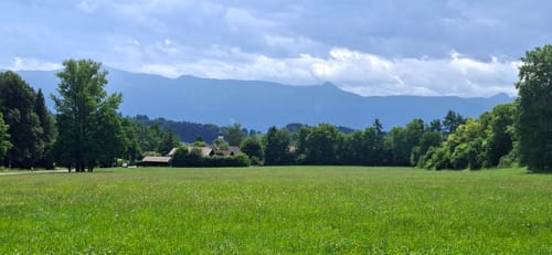 Wanderung Riegsee Rundweg