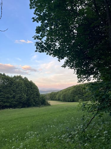 Buchoniarundweg ab Wüstensachsen (Rhön)