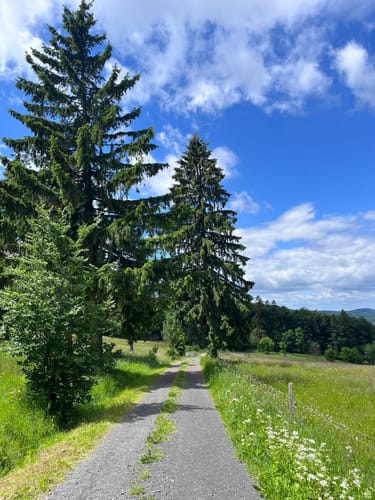 Buchoniarundweg ab Wüstensachsen (Rhön)