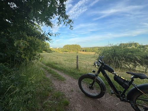 Enkheimer Ried