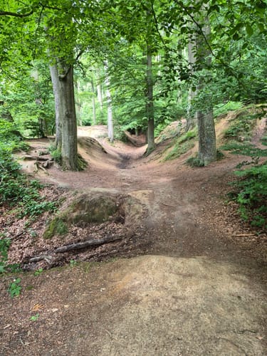 Rotthäuser Bachtal vom Naturfreunde Haus