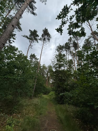 Krumme Lake Grünau