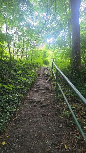 Malerweg Etappe 3: Hohnstein - Altendorf