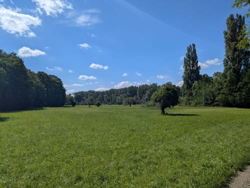 Rundwanderweg Riedstadt Erfelder Fußgängerbrücke 2: Nachtigallenweg