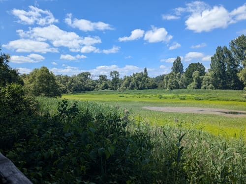 Rundwanderweg Riedstadt Erfelder Fußgängerbrücke 2: Nachtigallenweg