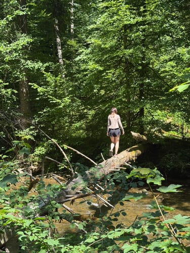Eistobel: Oberer Wasserfall am Eissteg