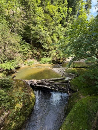 Eistobel: Oberer Wasserfall am Eissteg