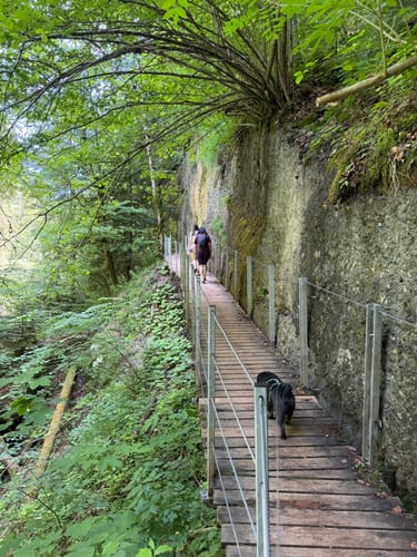 Eistobel: Oberer Wasserfall am Eissteg